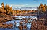 Wetlands At Sunrise_08046